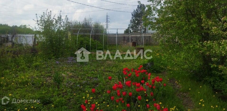 земля г Новосибирск снт Восход Заобский Восход Заобский тсо, 54, городской округ Новосибирск фото 3