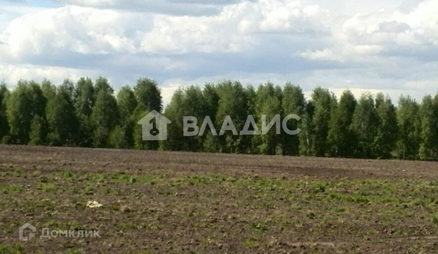 земля рп Кольцово рп. Кольцово городской округ, Спектр фото 2