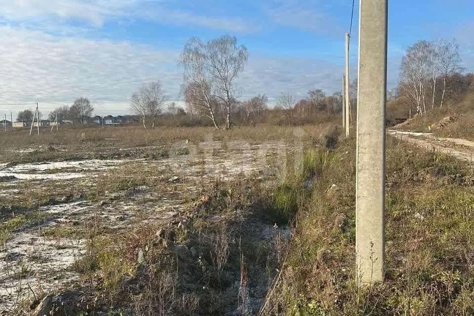 земля р-н Гурьевский посёлок Голубево фото 2