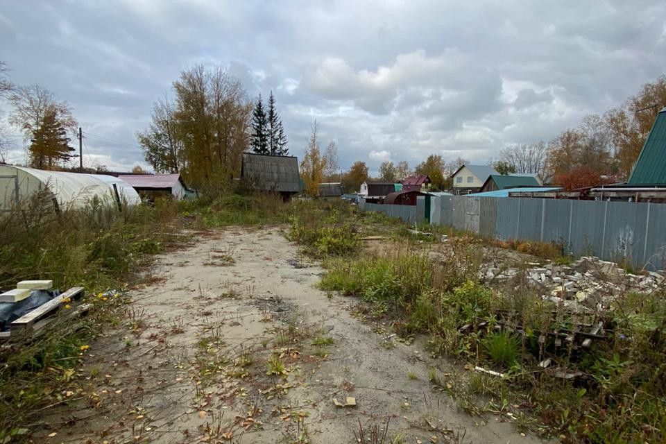 земля г Новосибирск НСТ Строитель Первомайский район, городской округ Новосибирск фото 4