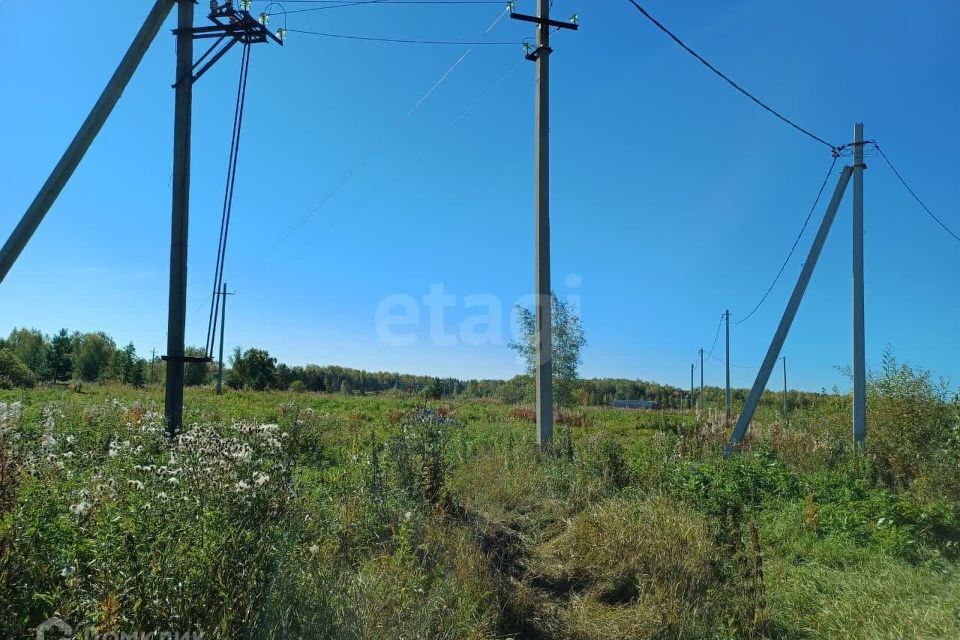 земля р-н Тюменский д Коняшина ул Заливная фото 4