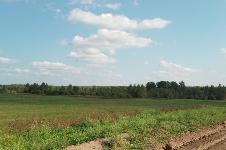 земля городской округ Переславль-Залесский, село Фалелеево фото 6