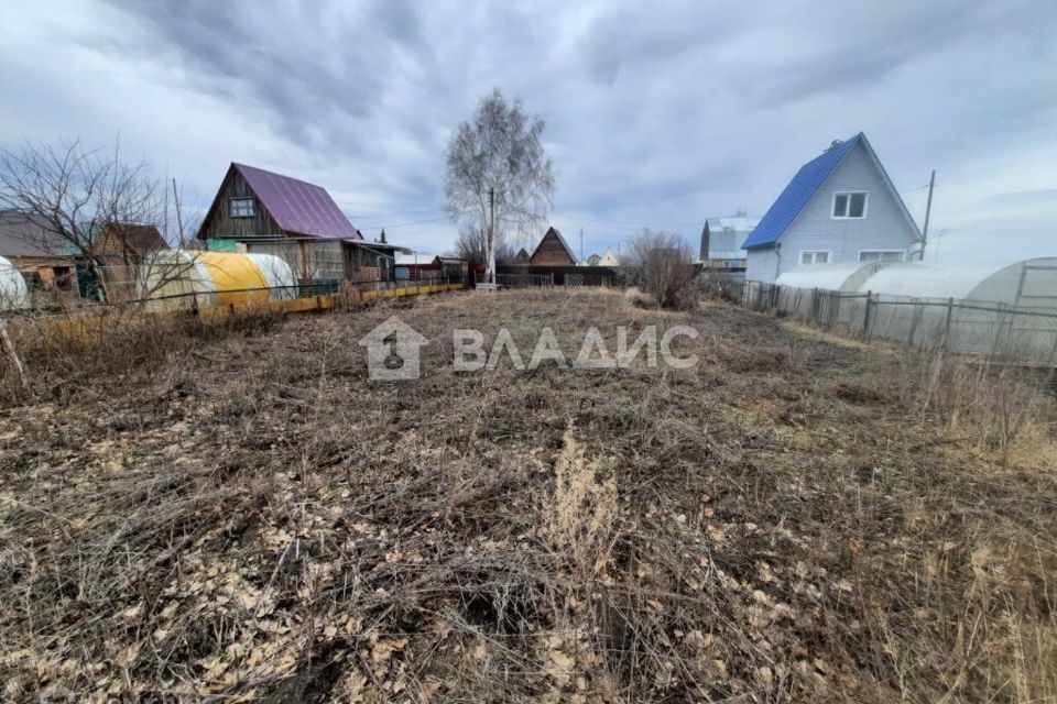 земля р-н Новосибирский фото 6