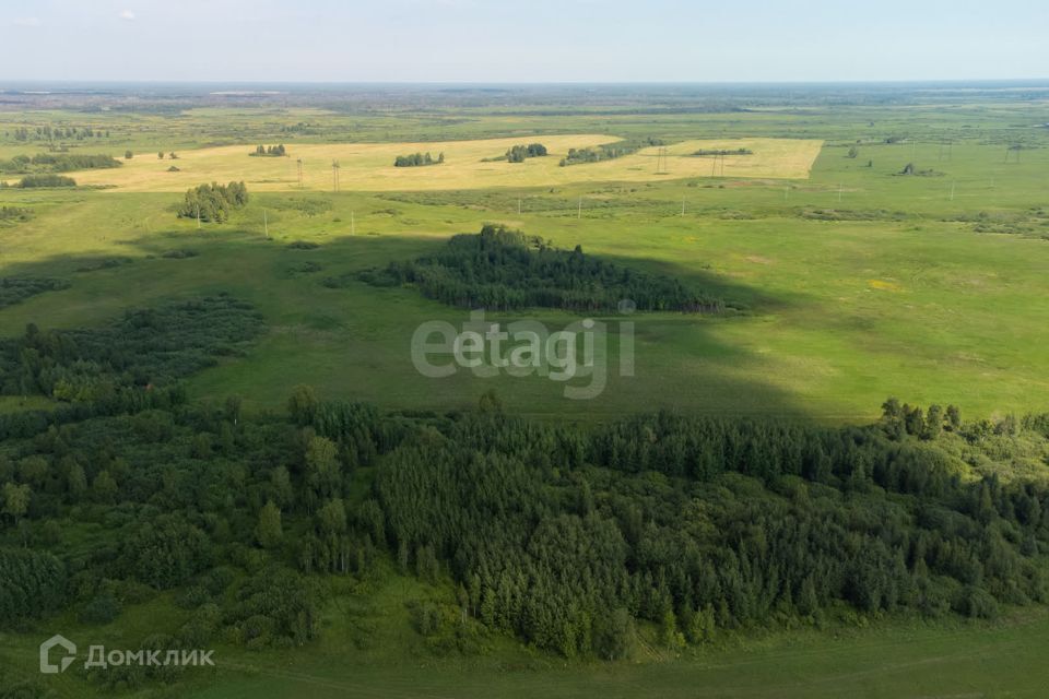 земля г Тюмень тракт Тобольский городской округ Тюмень фото 6