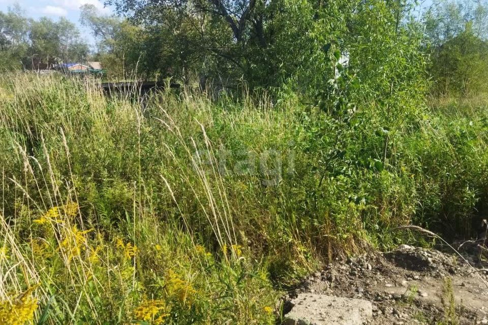 земля г Южно-Сахалинск городской округ Южно-Сахалинск, СНТ Тюльпан фото 4