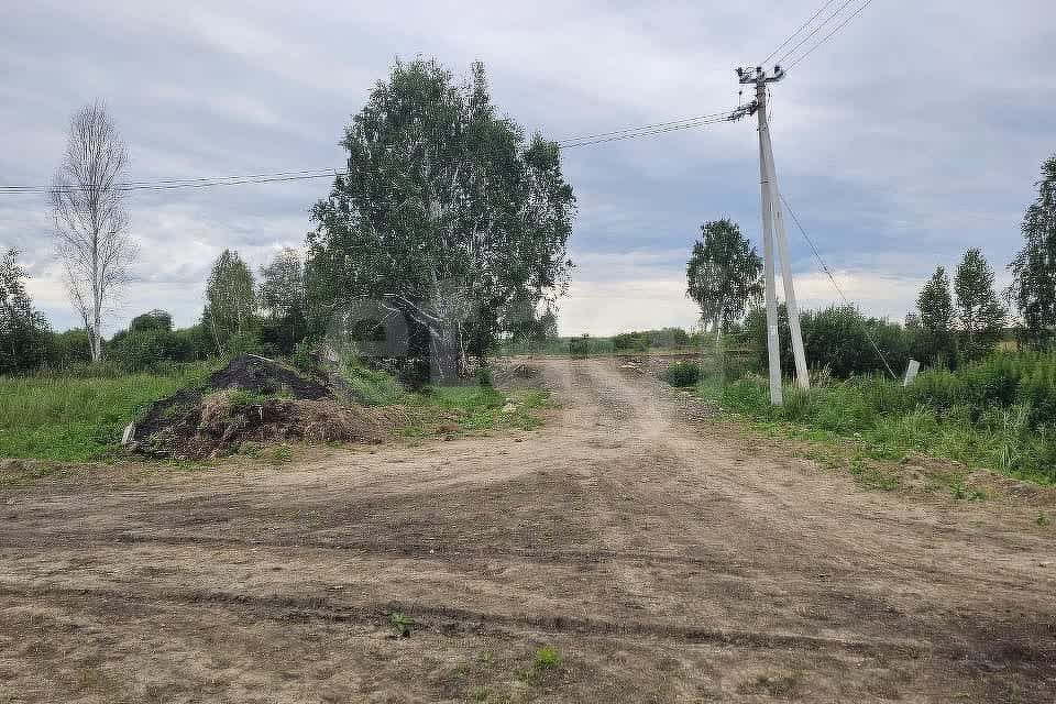 земля р-н Нижнетавдинский село Средние Тарманы фото 2