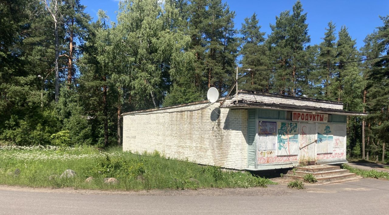 офис р-н Приозерский п Петровское пос, пос. При железнодорожной станции Петяярви, ул. Железнодорожная, 12 фото 2