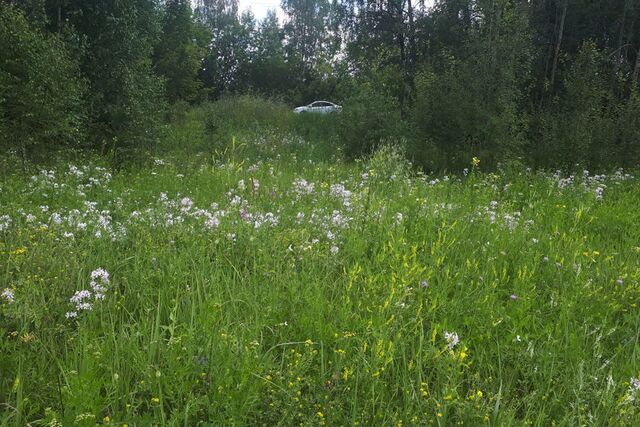 ул 2-я Шоссейная городской округ Ярославль фото