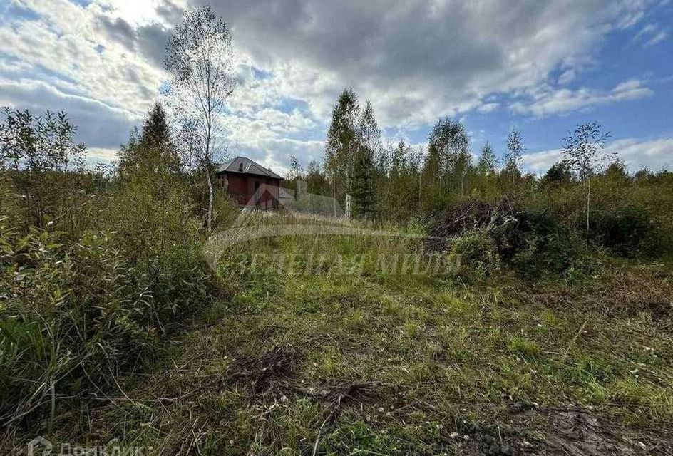 земля г Тюмень мкр Лесной городской округ Тюмень, массив Верхний Бор фото 7