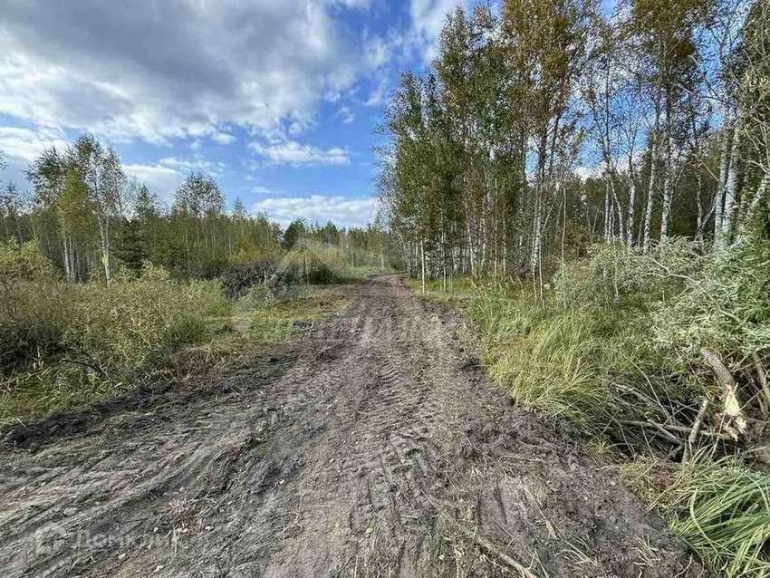 земля г Тюмень мкр Лесной городской округ Тюмень, массив Верхний Бор фото 8