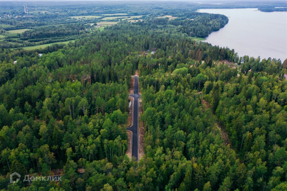 земля р-н Выборгский фото 1