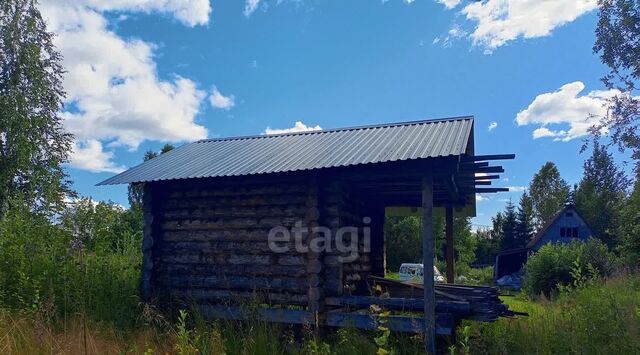 земля с Выльгорт муниципальное образование, Лесное садоводческое товарищество фото