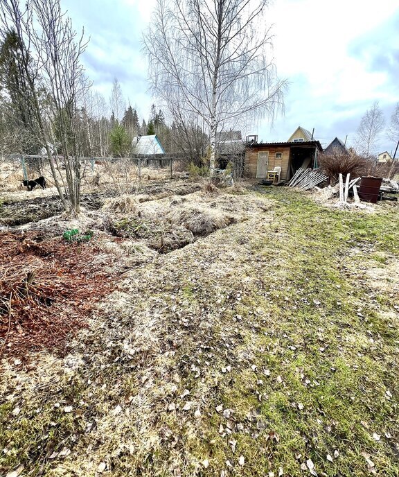 земля г Сыктывкар территория Максаковское, СНТ Авиатор фото 11