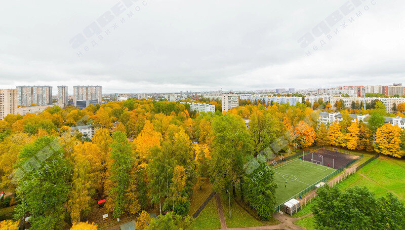 квартира г Санкт-Петербург метро Академическая пр-кт Пискарёвский 37к/2 фото 11