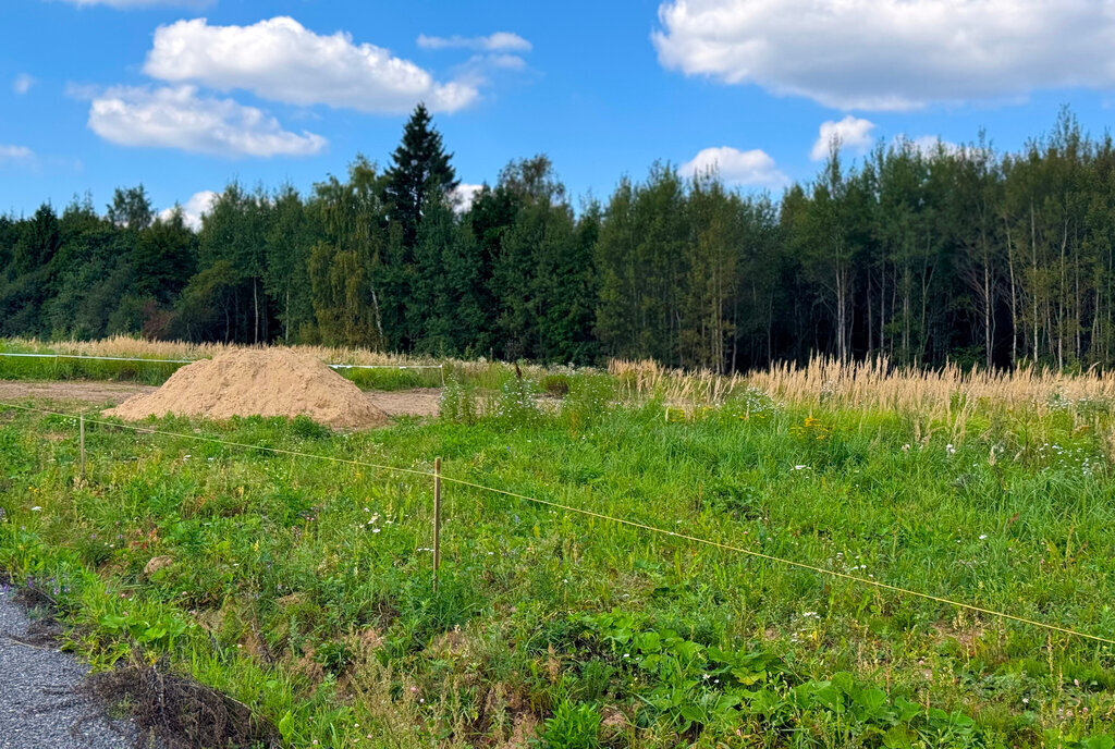 земля городской округ Дмитровский коттеджный посёлок Медведки, Лобня фото 7