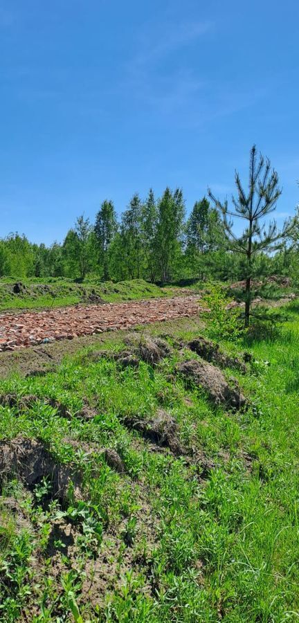 земля городской округ Раменский 9769 км, д. Кузяево, Егорьевское шоссе, Электроизолятор фото 3