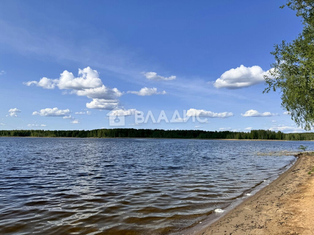 дом городской округ Мытищи д Манюхино Манюхино д. Водоводная ул., 25 фото 2