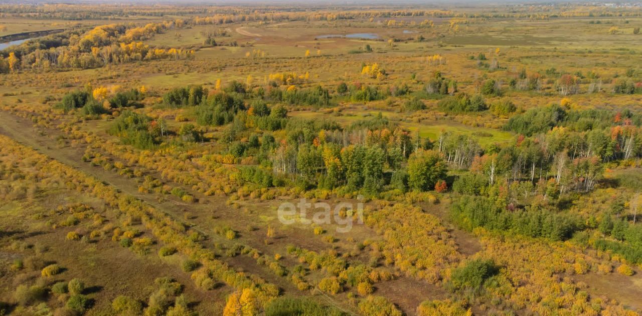 земля р-н Тюменский с Борки фото 8