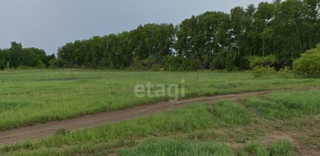 мкр Приморье Морской сельсовет, Новосибирск фото