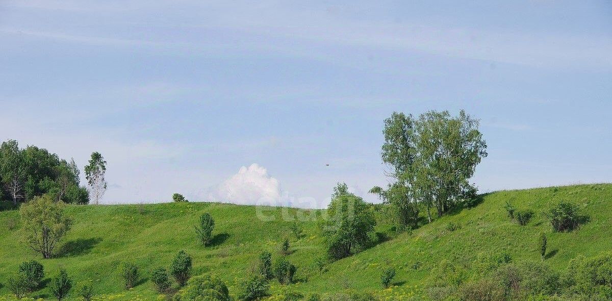 дом р-н Дзержинский д Буланцево 10, Совхоз Чкаловский с пос фото 14