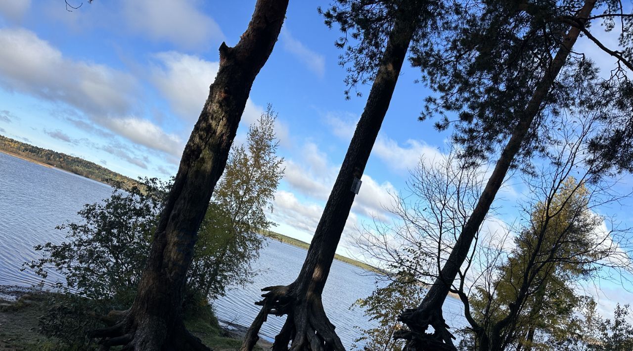 земля р-н Всеволожский Токсовское городское поселение, Токсово городской поселок, Девяткино, ул. Пляжная, 5/1 фото 33