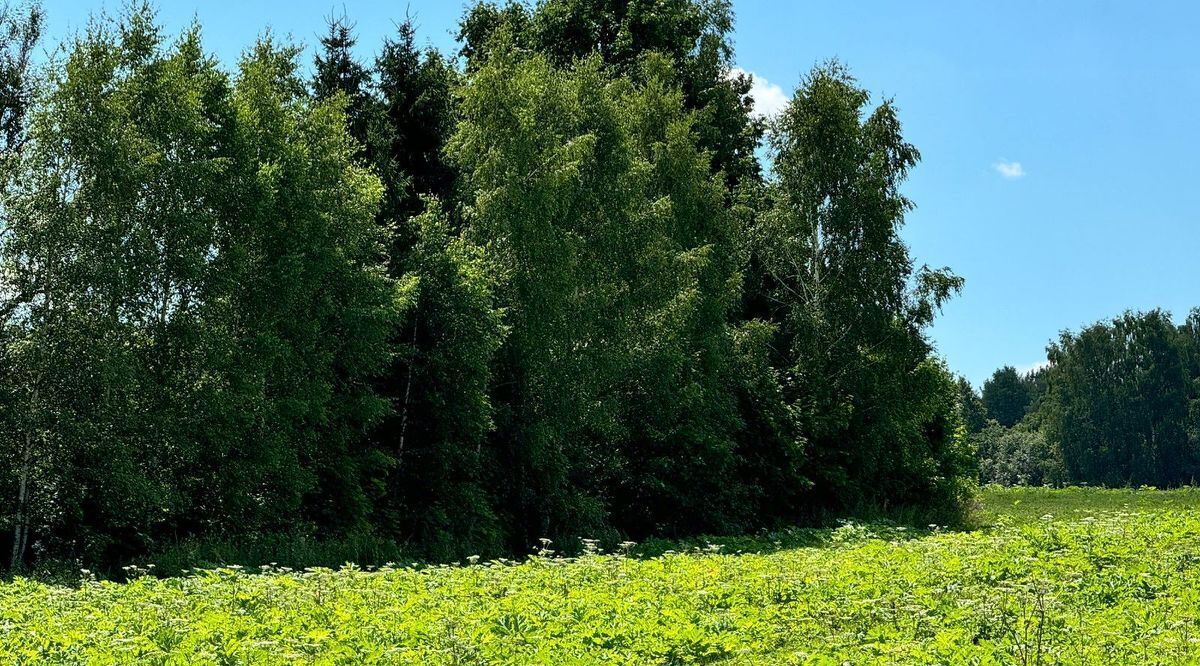 офис городской округ Солнечногорск д Мостки фото 1