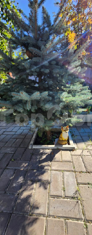 дом г Балашиха ул Лукино фото 1