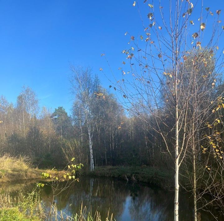 земля городской округ Истра г Дедовск Нахабино, Истра городской округ фото 9