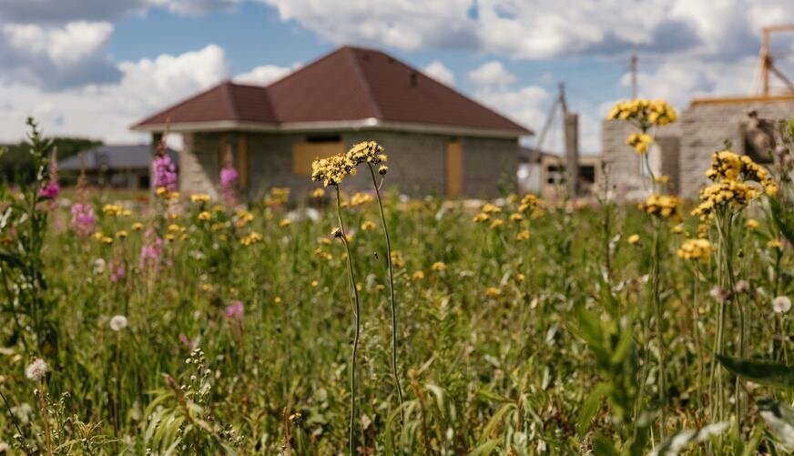 земля городской округ Домодедово д Шишкино Растуновский административный округ фото 2