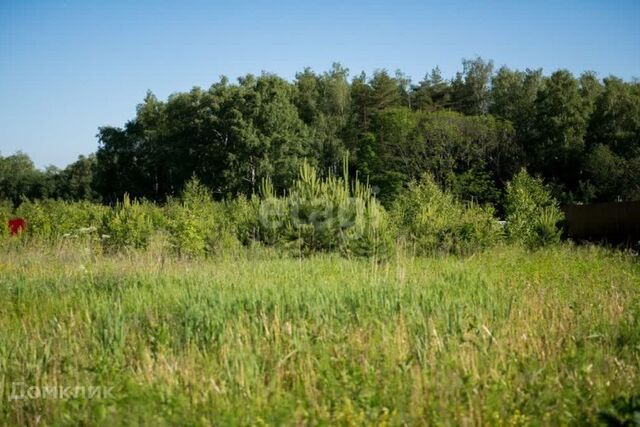 земля ул Горького городской округ Первомайск фото