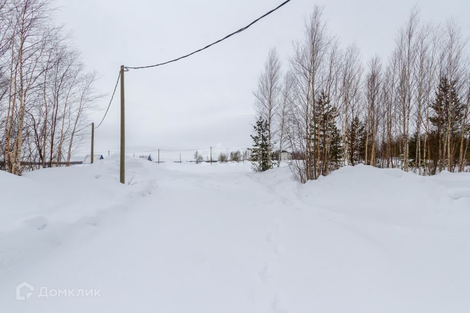 земля р-н Сургутский фото 5