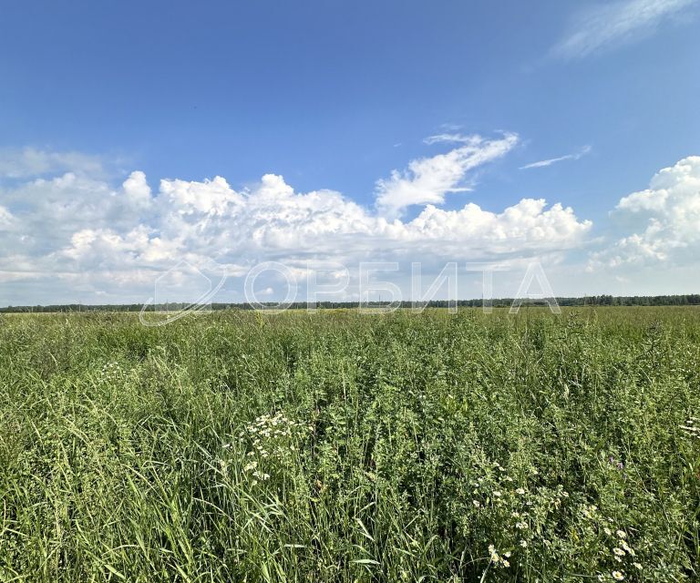 земля г Тюмень городской округ Тюмень, Центральный фото 4