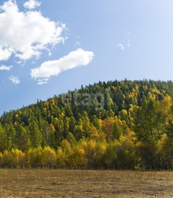 земля р-н Онгудайский село Ело фото 6