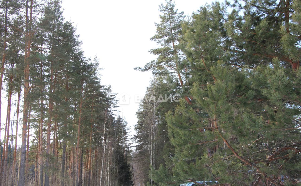 земля городской округ Воскресенск д Новочеркасское 9802 км, г. о. Воскресенск, Хорлово, Новорязанское шоссе фото 10