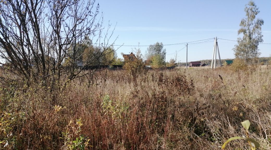 земля городской округ Раменский д Лысцево фото 1