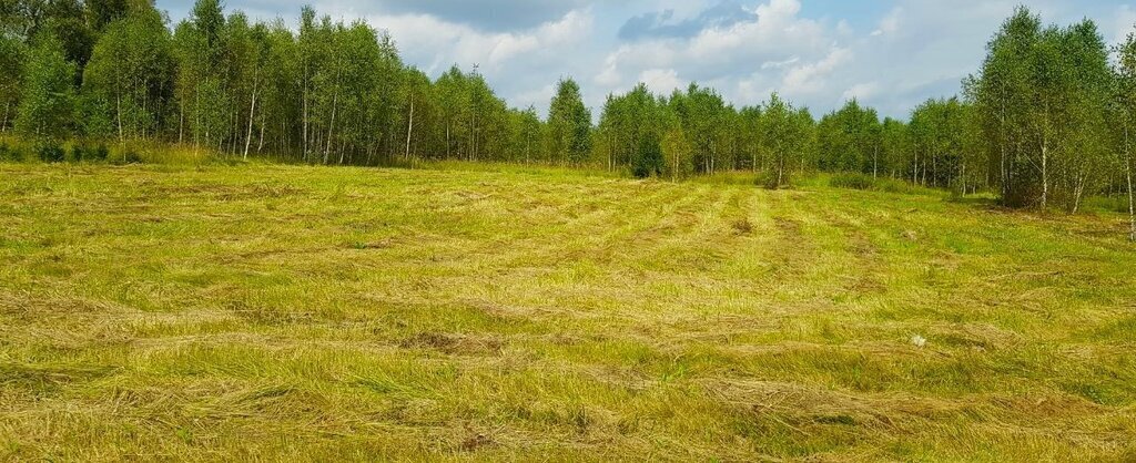 земля городской округ Наро-Фоминский д Маурино фото 26