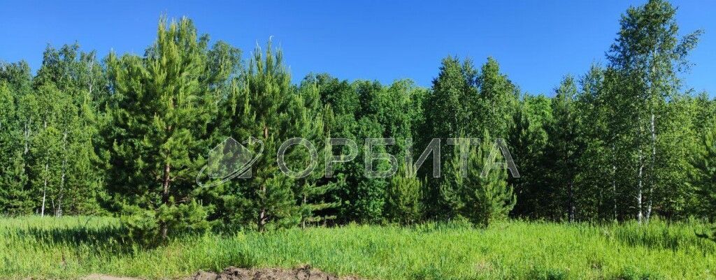 земля р-н Нижнетавдинский с Тюнево Тюмень фото 2