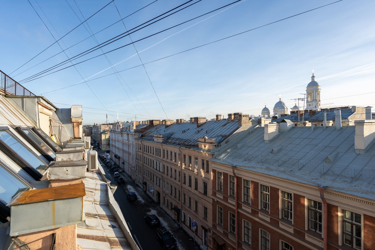 квартира г Санкт-Петербург метро Чкаловская Большой пр-т Петроградской стороны, 7/4 фото 8