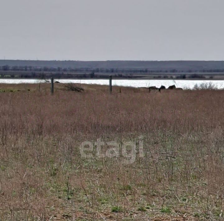 земля р-н Черноморский с Межводное ул Черноморское шоссе фото 4