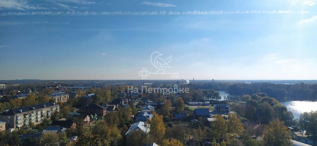 квартира городской округ Богородский г Старая Купавна ул Октябрьская 14а фото 11