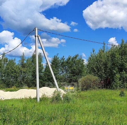 д Негомож Коломна городской округ фото