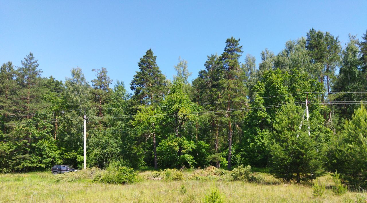 земля Коломна городской округ, Росинка СНТ фото 5