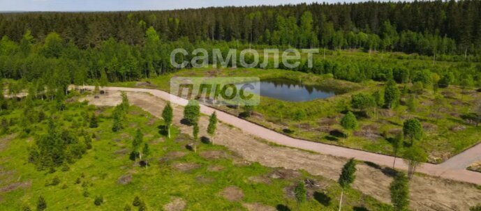 земля р-н Выборгский п Лебяжье Рощинское городское поселение фото 1