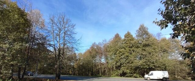 ул Заварина 8 р-н Петродворцовый фото