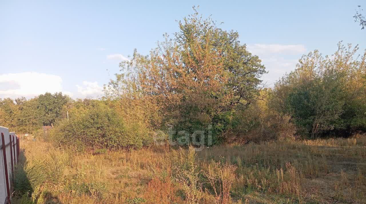 земля р-н Старооскольский с Каплино Старооскольский городской округ фото 4