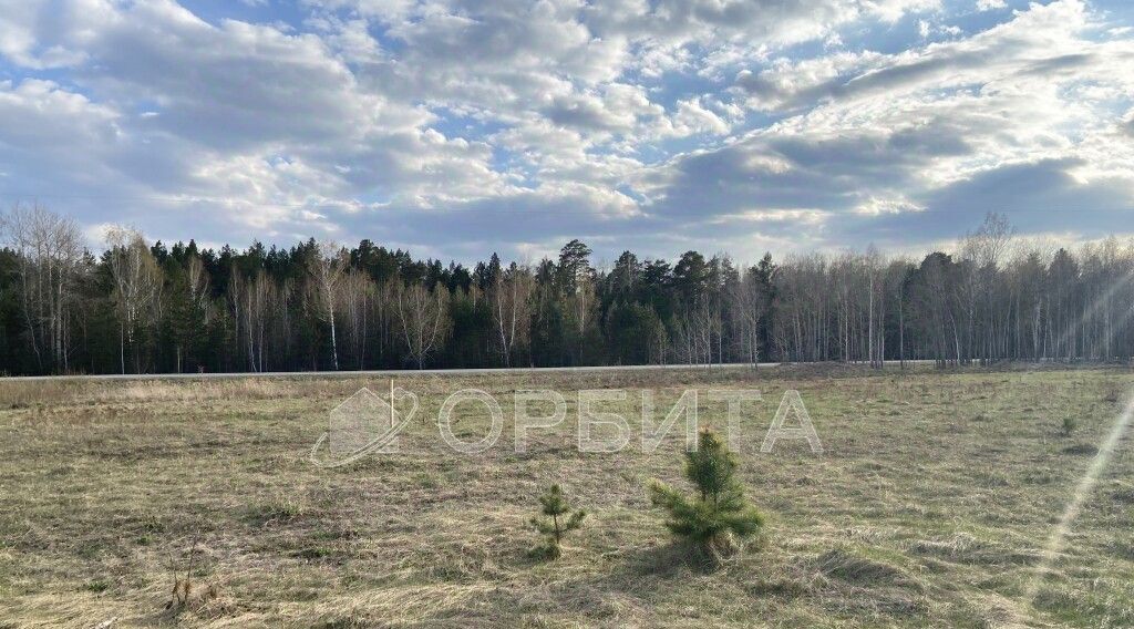 земля р-н Тюменский д Головина Онохинское сельское поселение фото 3