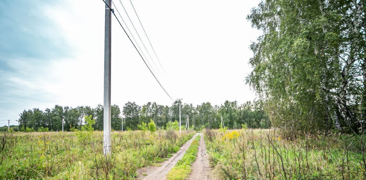 земля г Бердск жилой район «Раздольный» фото 1