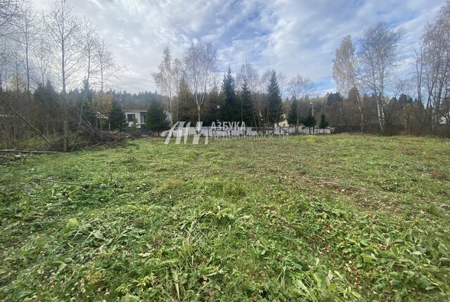 Апрелевка, садовое товарищество Ритм фото