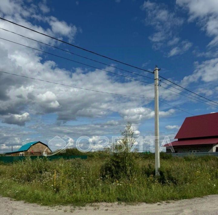 земля р-н Тюменский с Борки ул Луговая фото 2