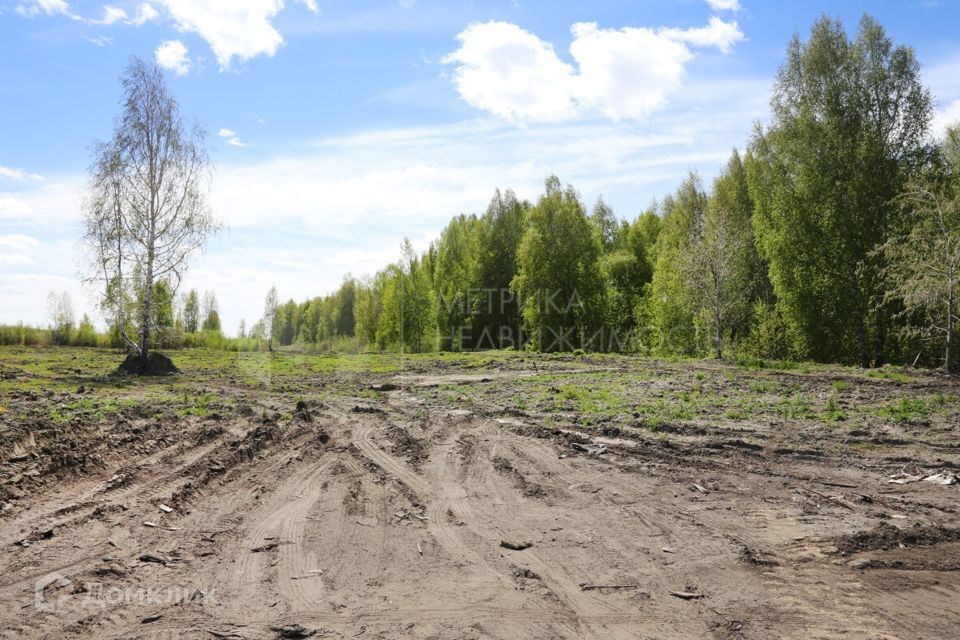 земля р-н Нижнетавдинский фото 4